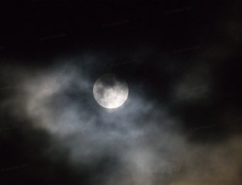 IMG_7768_16