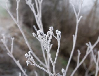 _DSC9822_138
