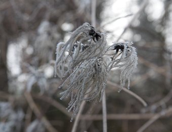 _DSC9830_145