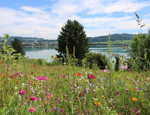 Natur - Landschaften